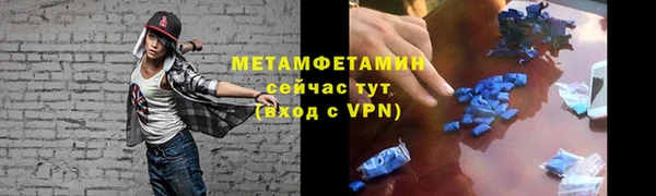 прущие грибы Баксан