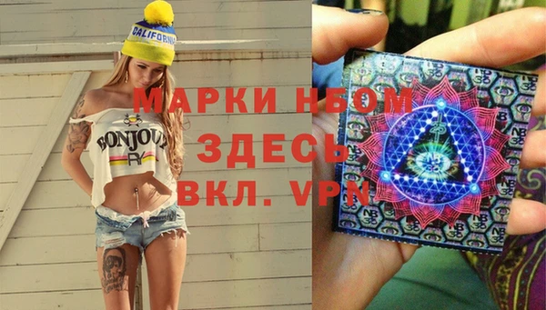 прущие грибы Баксан
