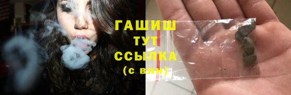 прущие грибы Баксан