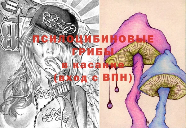 прущие грибы Баксан
