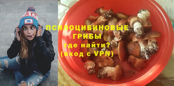 шишки Балабаново