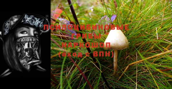 шишки Балабаново