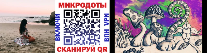 Псилоцибиновые грибы Psilocybine cubensis  хочу наркоту  Каменск-Шахтинский 